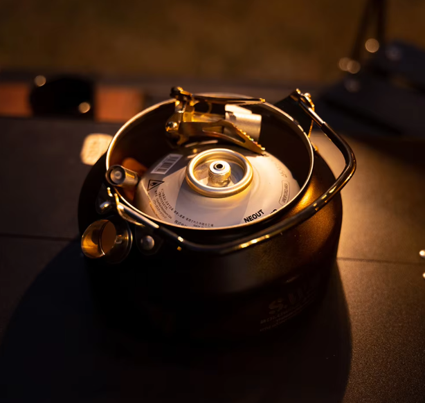 Wellhike Stainless Steel Kettle 0.8L - Black