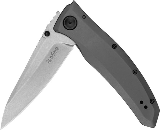 [2200SW] Kershaw 2200SW Grid