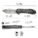 CIVIVI Elementum II Carbon Fiber & Resin - Damascus 