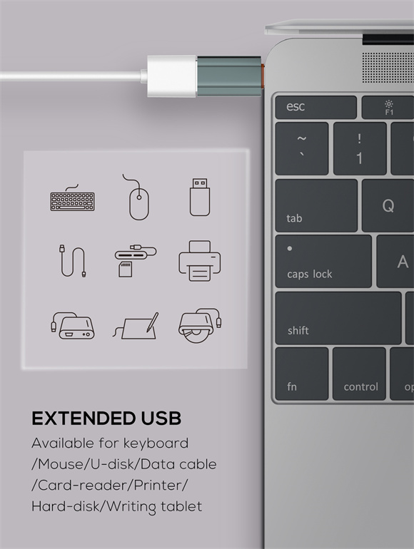 LDNIO USB Convertor Type-C to USB A Adapter