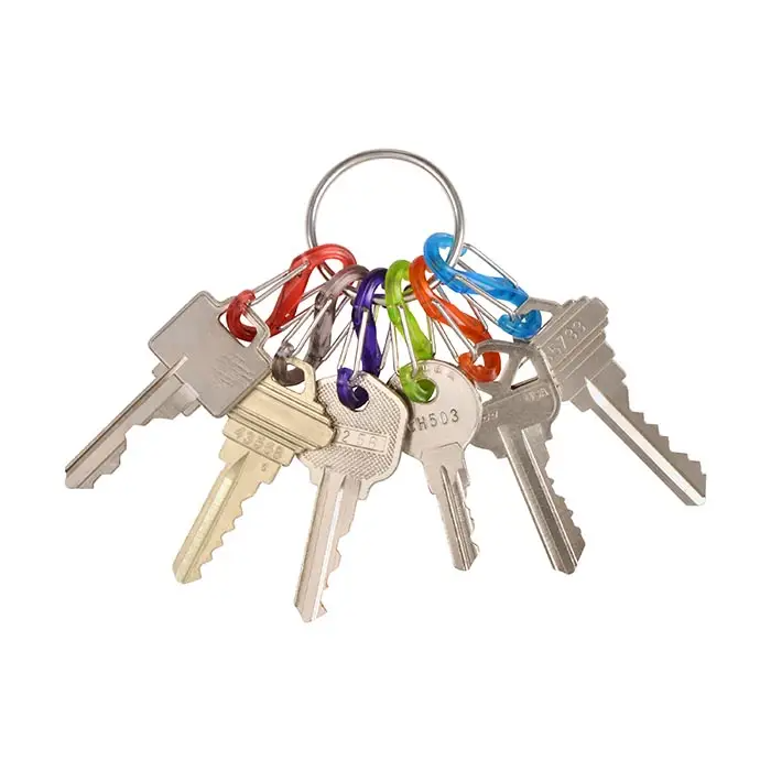 Nite Ize Ring With 6 Mini Carabines S-Biner