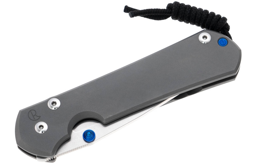 Chris Reeve Large Sebenza 31 - Glass Bead Blasted 