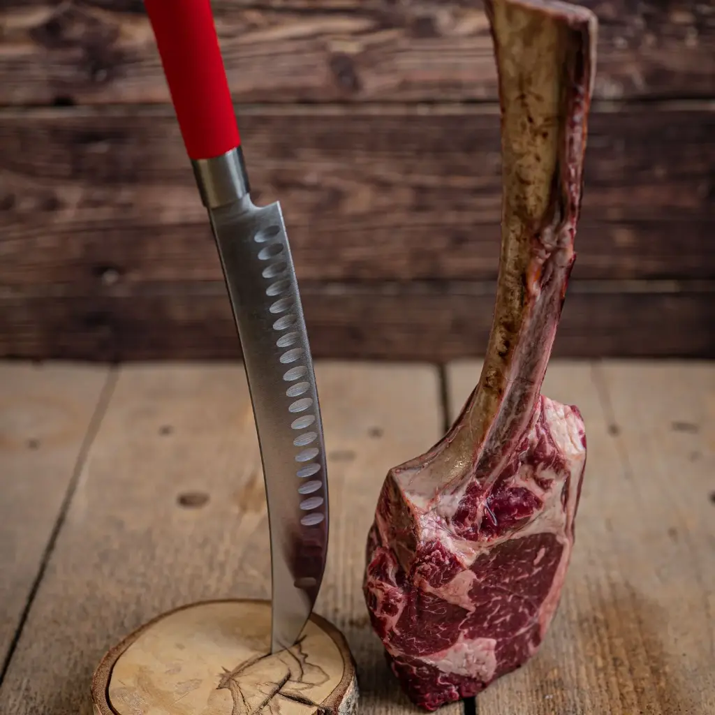 F.Dick Red Spirit HEKTOR Knife 10"