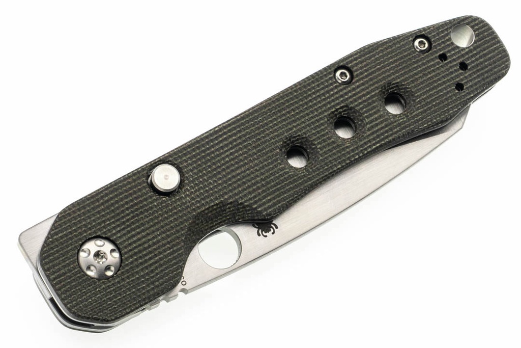 Spyderco Smock - Green Canvas Micarta - Satin CPM 20CV Blade - DLT Exclusive 