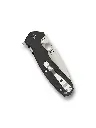 Spyderco AMALGAM
