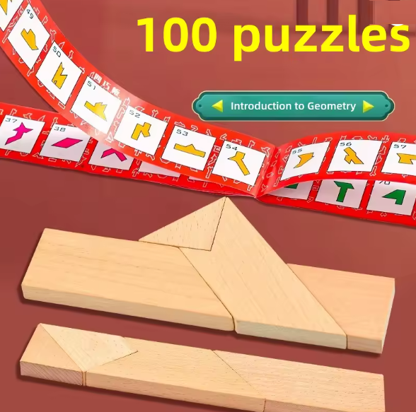 BRAIN PUZZLE Wood T + 100 Shapes