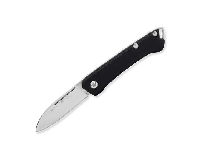 Buck 250 Saunter Drop Point Knife (0250BKS)