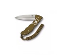 Victorinox Evoke Alox Limited Edition 2024 Terra Brown