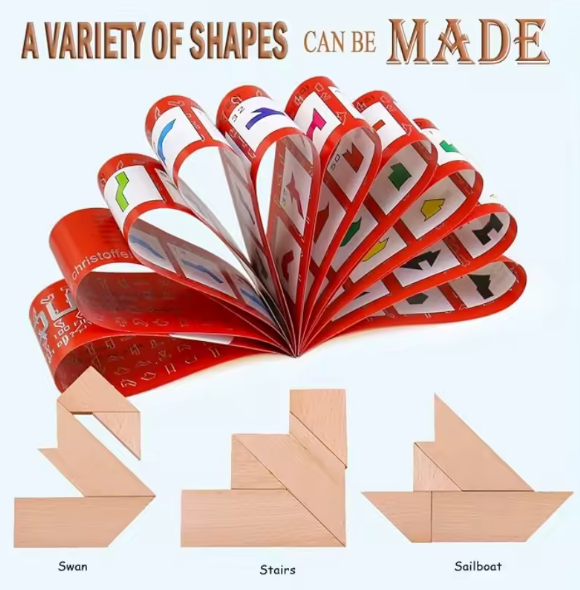 BRAIN PUZZLE Wood T + 100 Shapes