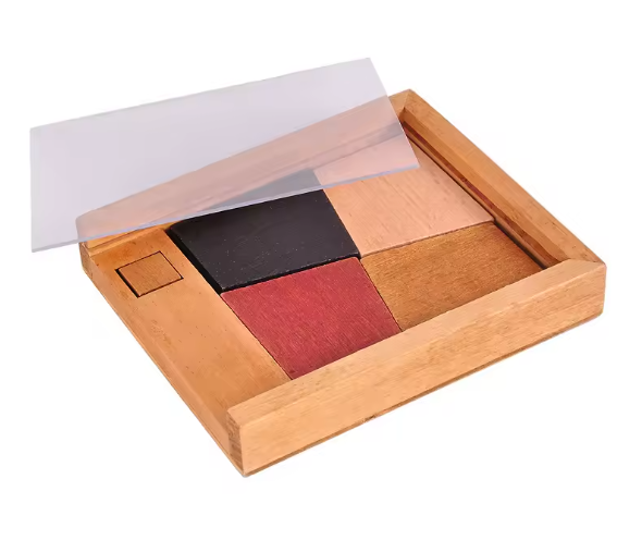 BRAIN PUZZLE Wood Fit The Circle 