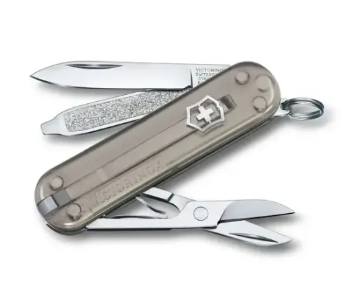 [0.6223.t31g] Victorinox Classic SD Transparent in Mystical Morning
