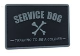 [SEVICE-GR] SERVICE DOG Training to Be a Solider 