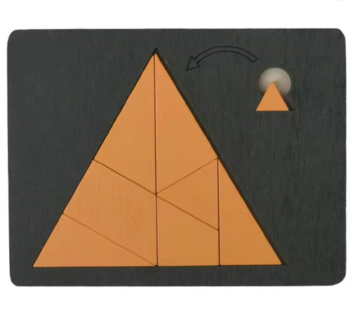 [20056] BRAIN PUZZLE Wood Fit The Shape